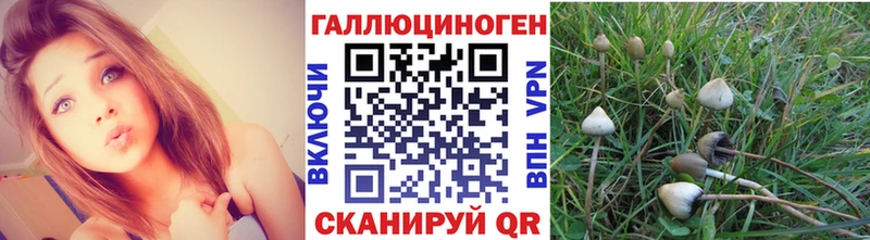 Галлюциногенные грибы мухоморы Ухта