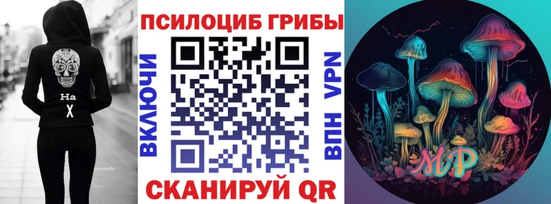 Псилоцибиновые грибы Psilocybe  omg   Ухта  где найти  