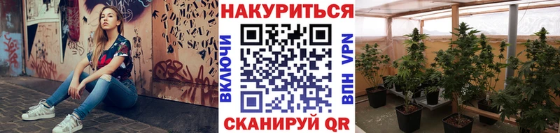 купить  цена  Ухта  Каннабис сатива 